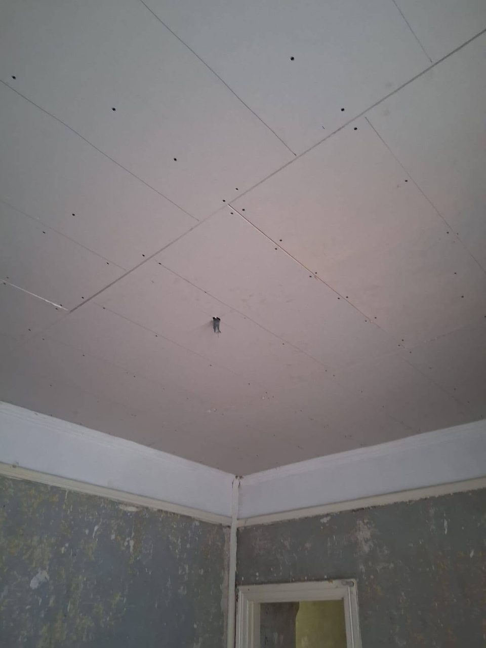 Freshly skimmed and ready to decorate